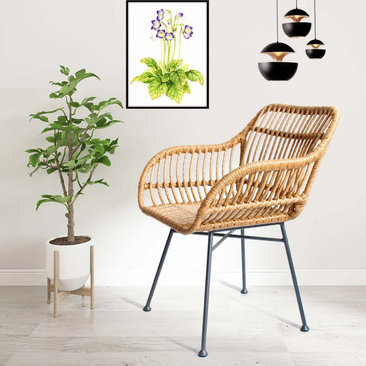 Skandishop Rattan chair