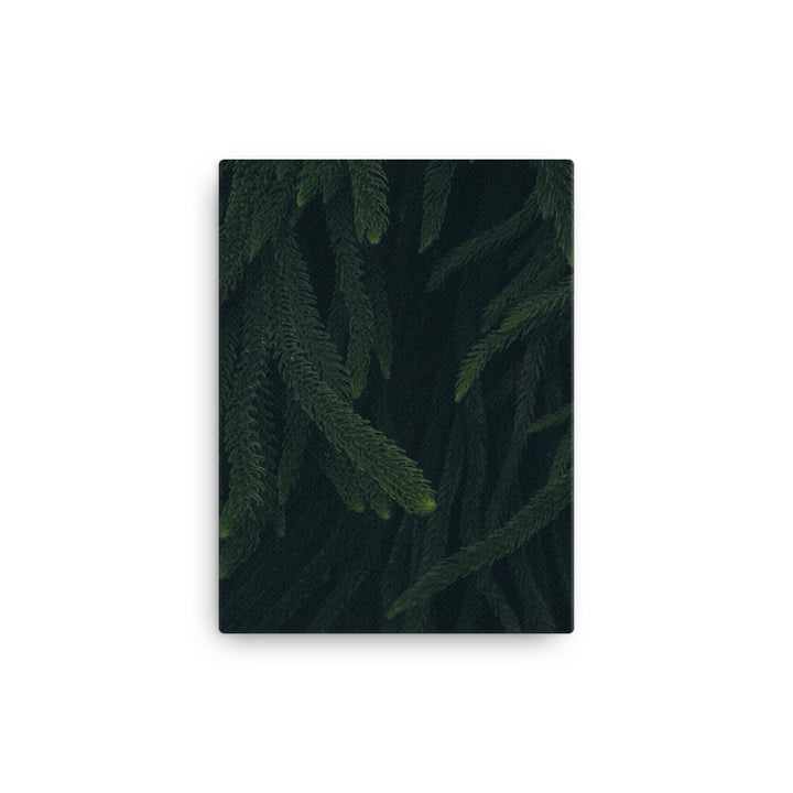 Deep woods Canvas print