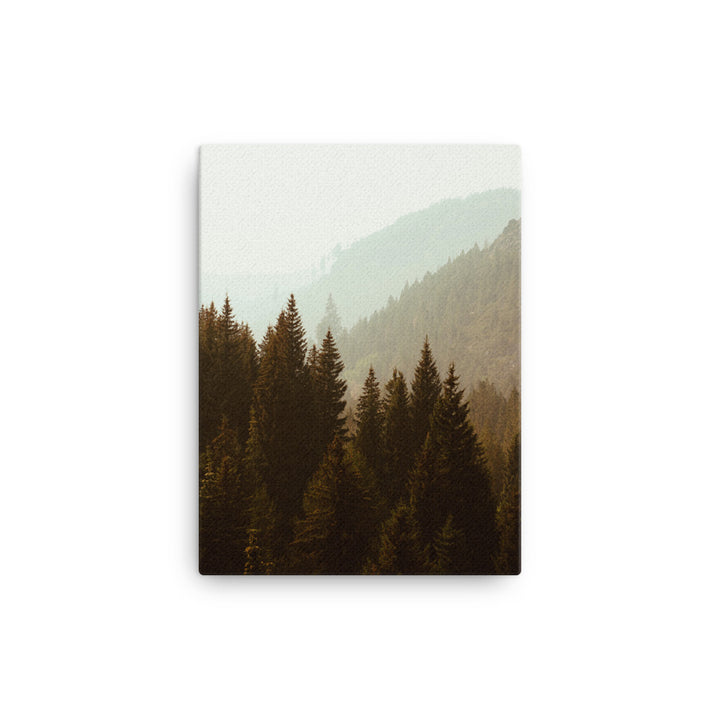 Misty Wood Canvas Print