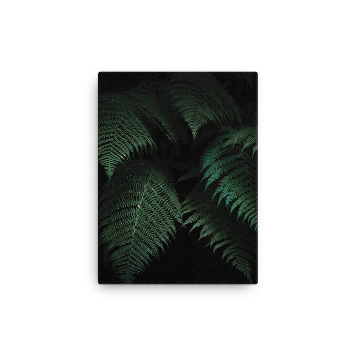 Jungle Canvas